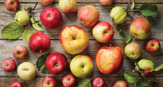 Fall Apple Picking Tips - Kitcheneez Mixes & More!