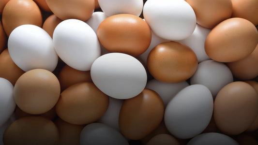 Are Those Eggs Fresh? - Kitcheneez Mixes & More!