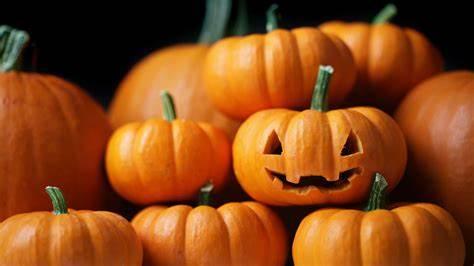 Pumpkins- How to Pick, Cook and Enjoy! - Kitcheneez Mixes & More!