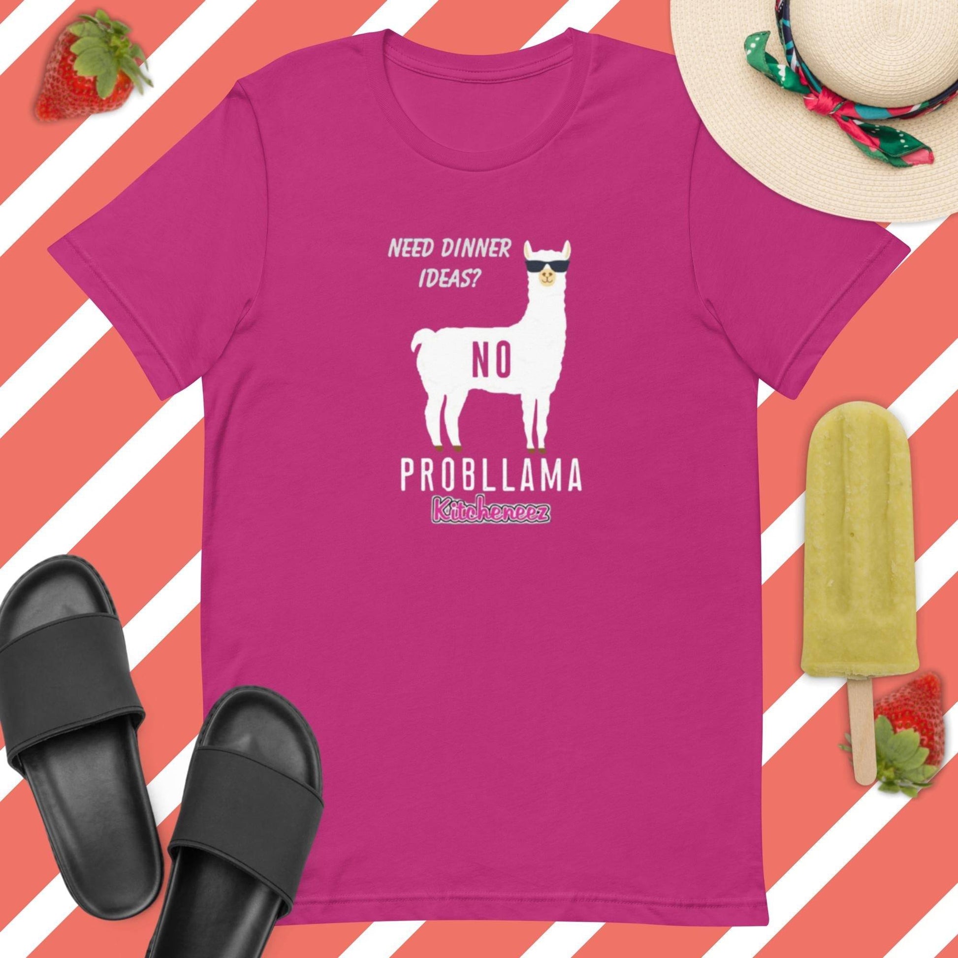 Kitcheneez "Need Dinner Ideas? No Problama" Fun T - Shirt - Kitcheneez Mixes & More!